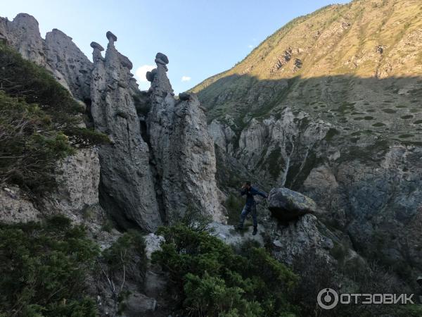 Каменные грибы на Алтае (Россия, Республика Алтай) фото