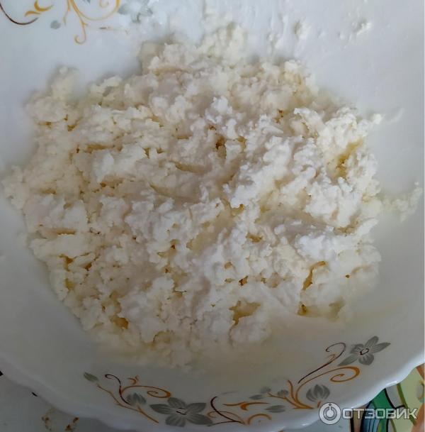 Творог Красная Цена Купить