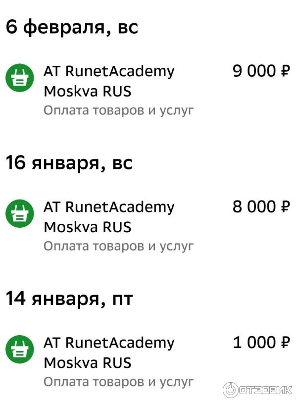 Runetacademy.ru - онлайн-школа русского языка фото