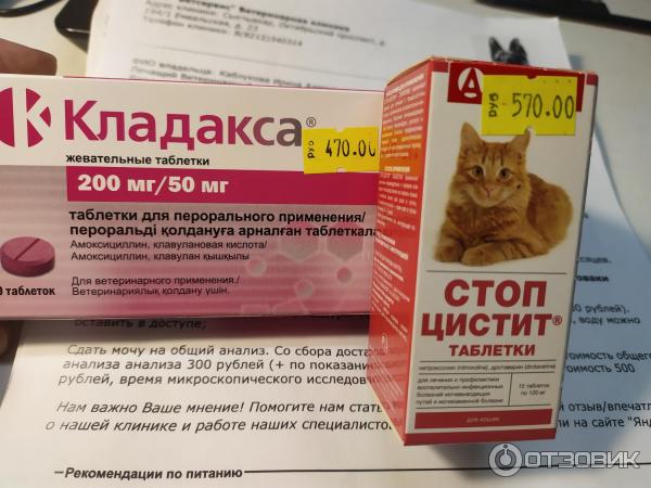 Кладакса 50 мг для кошек инструкция. Кладакса для кошек. Антибиотики для кошек в таблетках. Кладакса для собак.