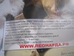 Пояс из верблюжей шерсти Леонарда фото