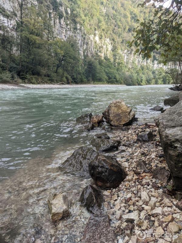 База отдыха Гнездо совы (Россия, Адлер) фото