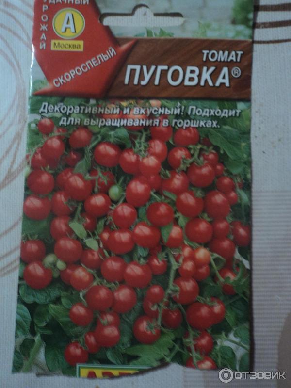 Сорт томатов пуговка отзывы фото. Семена томатов. Томат Пуговка фото. Томат агроденс партнер.