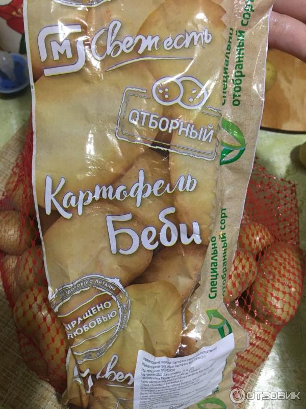 картофель
