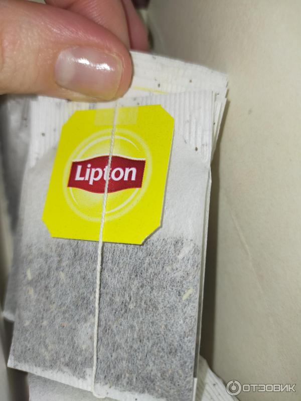 Чай Lipton Душистый чабрец фото