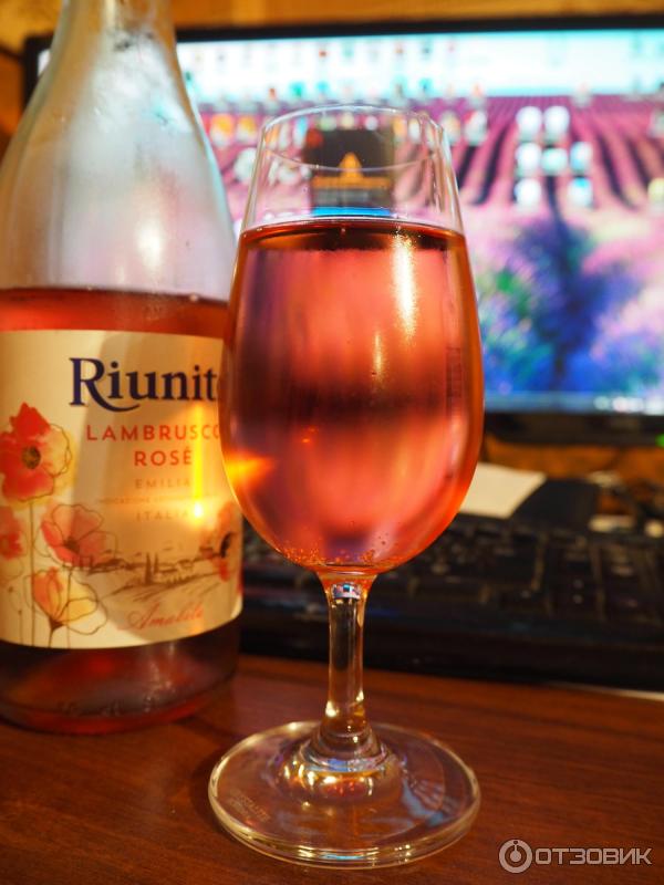 Вино Riunite Lambrusco Rose Emilia фото