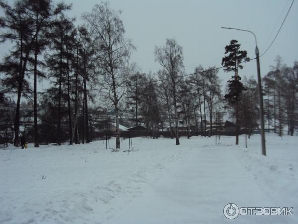 Каштаковская роща (Россия, Иркутск) фото