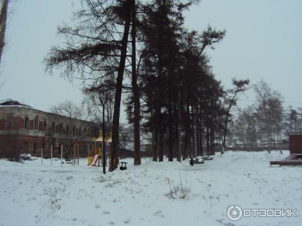 Каштаковская роща (Россия, Иркутск) фото