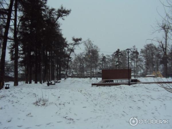 Каштаковская роща (Россия, Иркутск) фото
