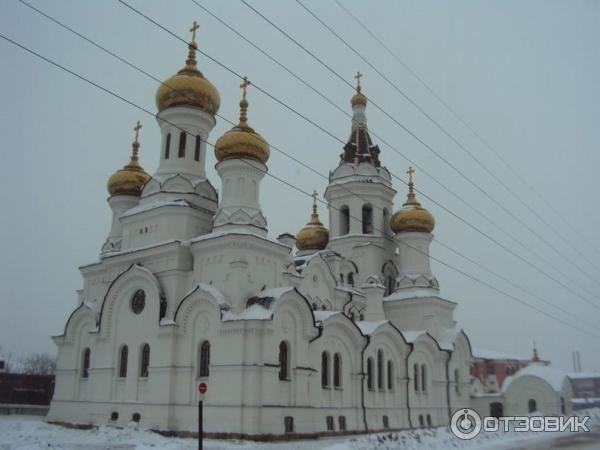 Каштаковская роща (Россия, Иркутск) фото