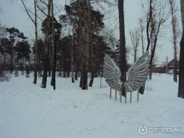 Каштаковская роща (Россия, Иркутск) фото