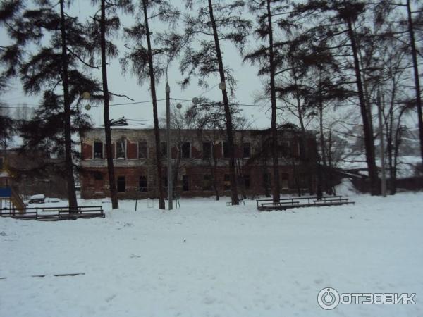 Каштаковская роща (Россия, Иркутск) фото
