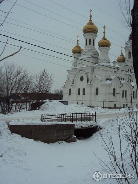 Каштаковская роща (Россия, Иркутск) фото