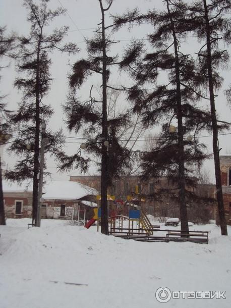 Каштаковская роща (Россия, Иркутск) фото