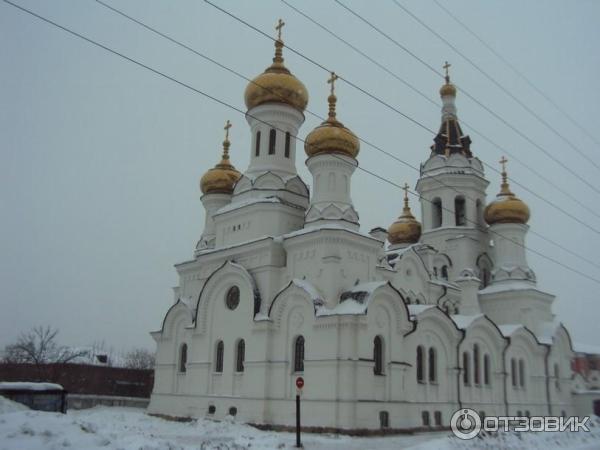 Каштаковская роща (Россия, Иркутск) фото