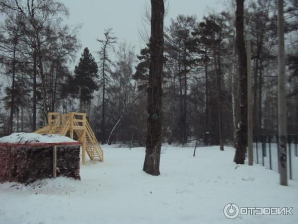 Каштаковская роща (Россия, Иркутск) фото