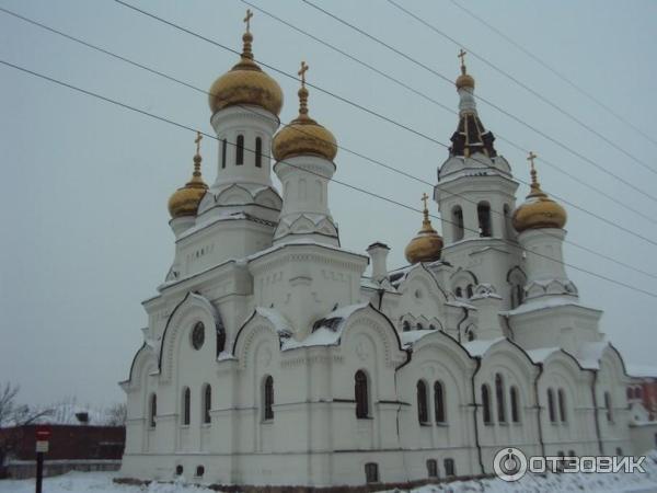 Каштаковская роща (Россия, Иркутск) фото