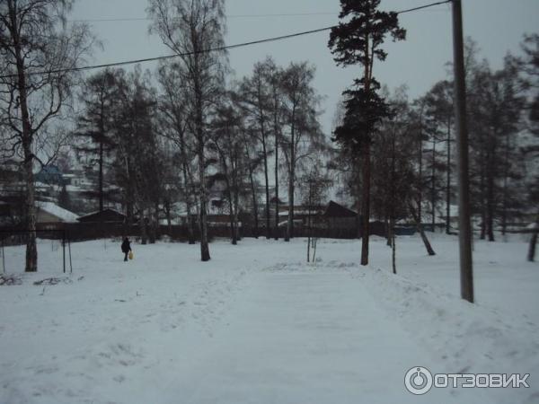 Каштаковская роща (Россия, Иркутск) фото