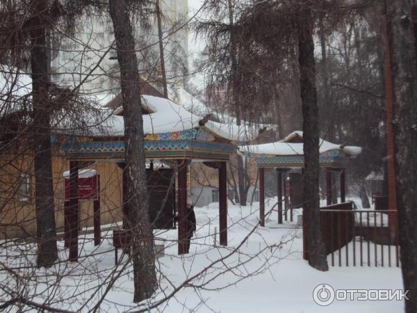 Иркутский дацан (Россия, Иркутск) фото