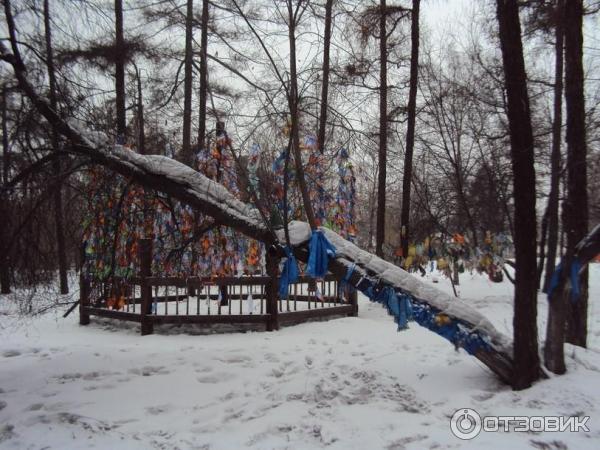 Иркутский дацан (Россия, Иркутск) фото