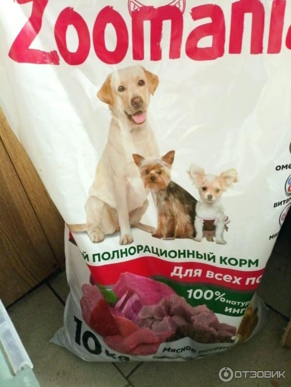 И котят мясное ассорти 10кг   , шт". К. Сухой корм для кошек zoomania. Zoomania корм для собак. Корм для кошек zoomania.