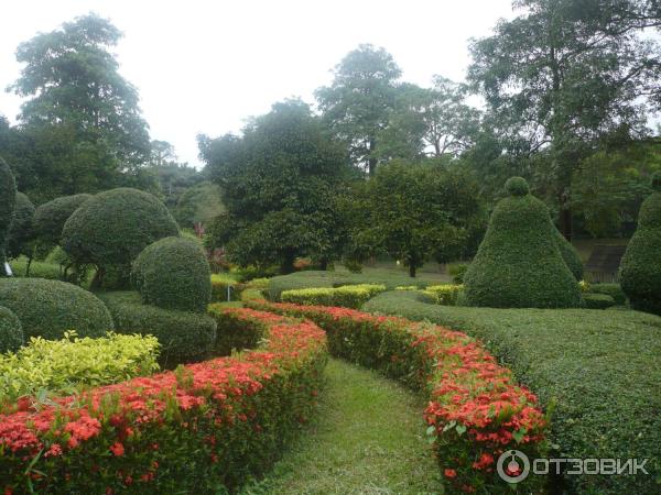 Экскурсия Гастрономическая Паттайя (Таиланд, Чонбури) фото