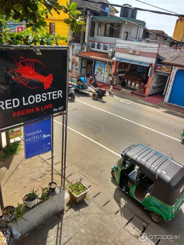 Ресторан Ref Lobster в Хиккадуве. Шри Ланка, декабрь 2022.