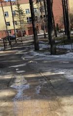 Санаторий МВД "Белая Русь" (Беларусь, Минская обл.) фото