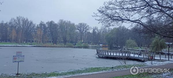 Отдых в г. Зеленоградск (Россия, Калининградская область) фото