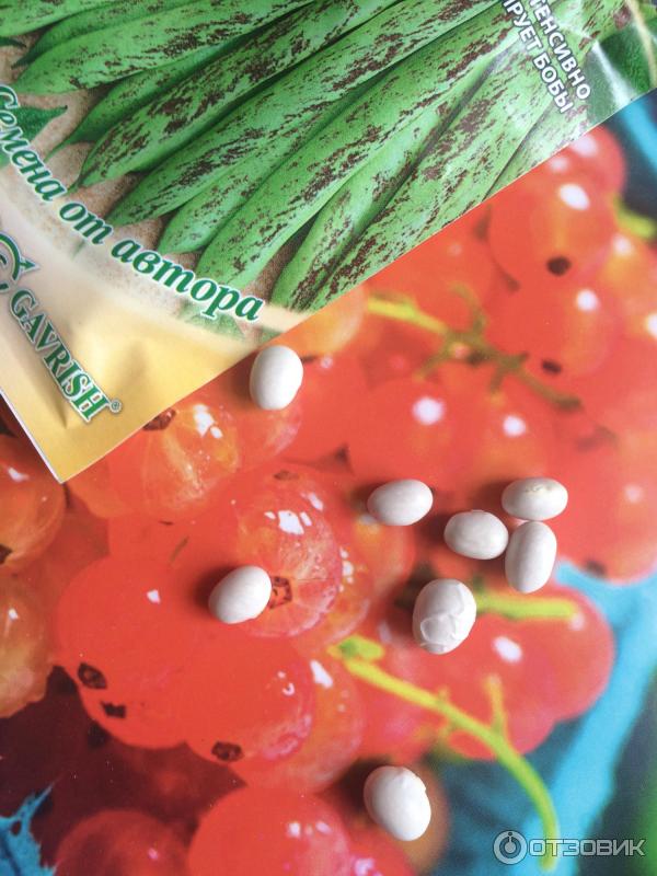 Шұлықтағы жас аналармен жыныстық қатынас