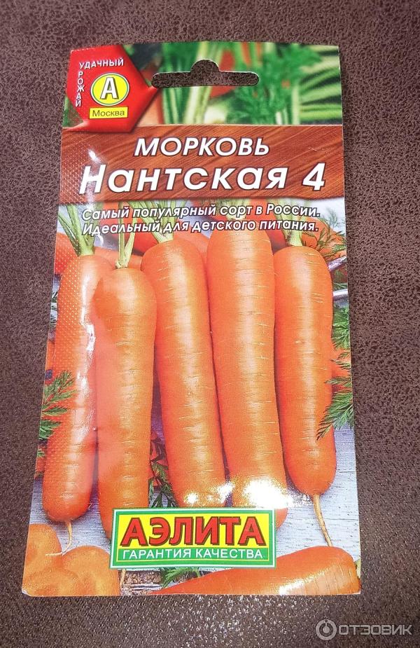 Отзыв о Семена моркови Аэлита "Нантская 4" | ... не разочаровали ...