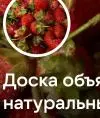 Egoss