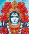 Kali8